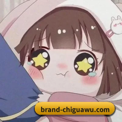 全网热搜霸榜